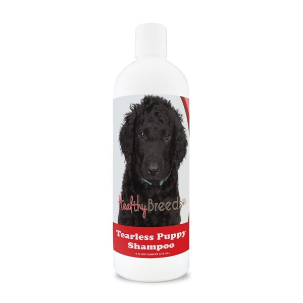 Healthy Breeds Curly-Coated Retriever Tearless Puppy Dog Shampoo - 840235185932