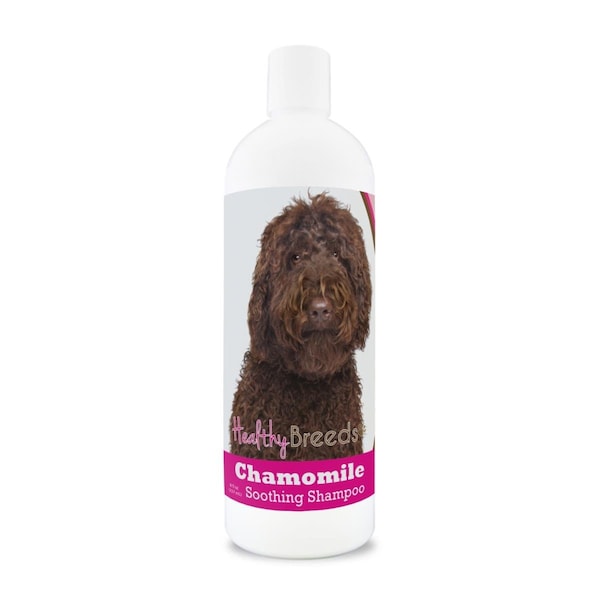 Healthy Breeds 8 oz Labradoodle Chamomile Soothing Dog Shampoo - 840235161868