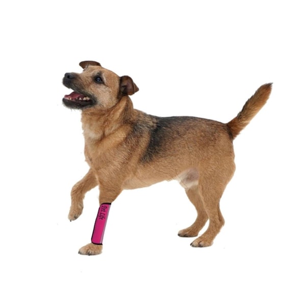 Petpurifiers Extreme-Neoprene Joint Protective Reflective Pet Sleeves- Pink - Large - PE3718470