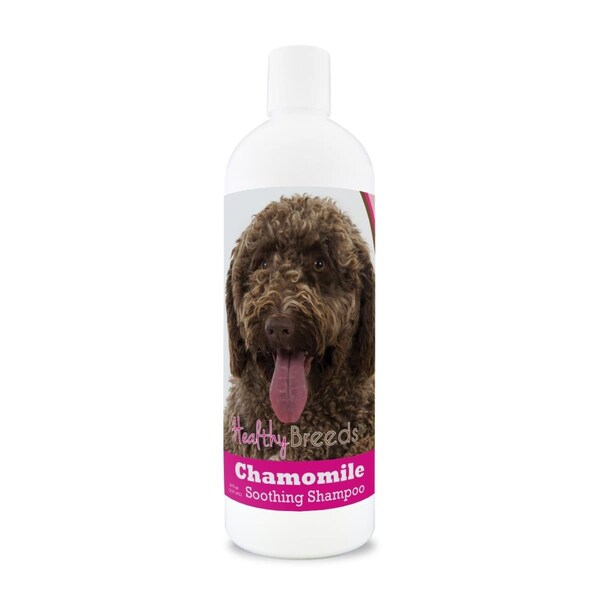 Healthy Breeds 8 oz Spanish Water Dog Chamomile Soothing Dog Shampoo - 840235199427