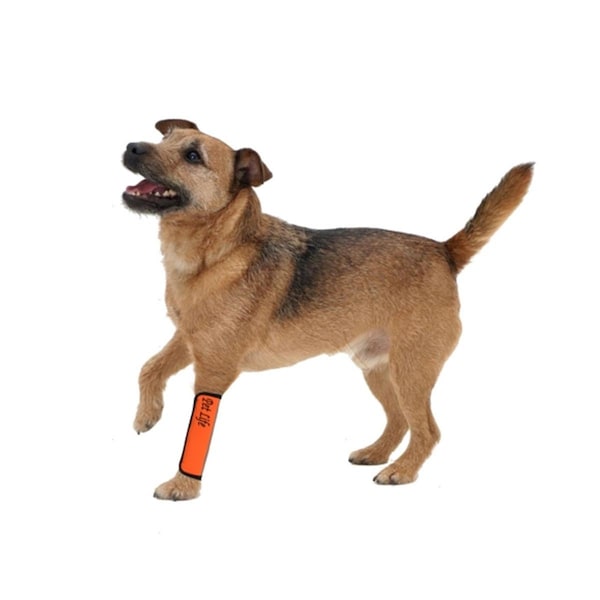 Petpurifiers Extreme-Neoprene Joint Protective Reflective Pet Sleeves- orange - Large - PE3718469