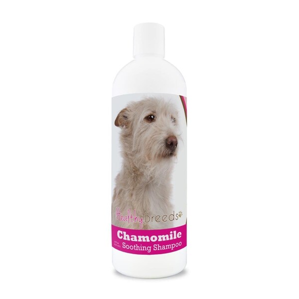 Healthy Breeds 8 oz Portuguese Podengo Pequeno Chamomile Soothing Dog Shampoo - 192959000306