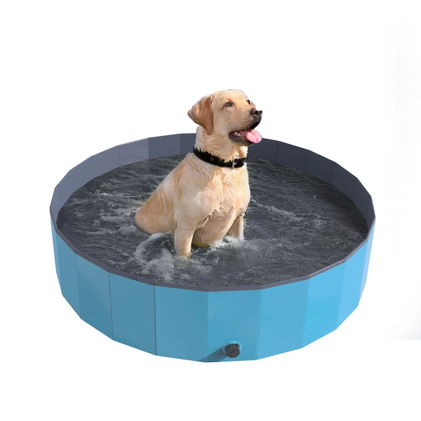 Pet Adobe Pet Adobe Foldable Pool for Dogs and Kids, Blue - 361746SQQ