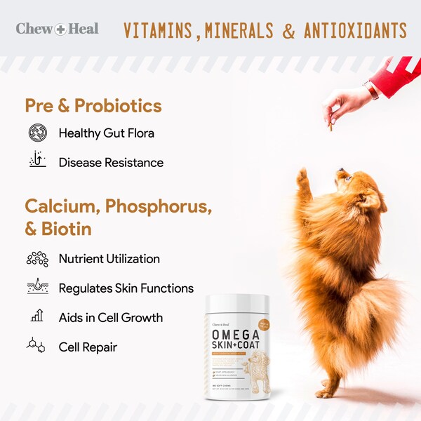 Chew + Heal Omega Skin & Coat - 180 Chews - CH-OMEGA-SKIN-COAT-180PK