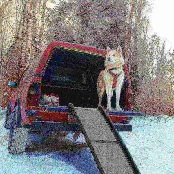 Pet Adobe Bi-Fold Pet Ramp, Lightweight with Safe Non-Slip Traction Surface and Raised Sides for Cars, SUVs - 709422XRP