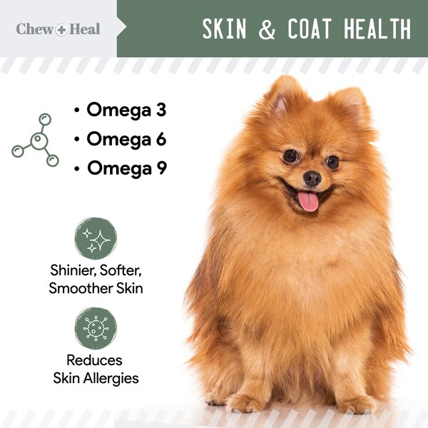 Chew + Heal 4-In-1 Support - 120 Chews - CH-4-IN-1-SUPPORT-120