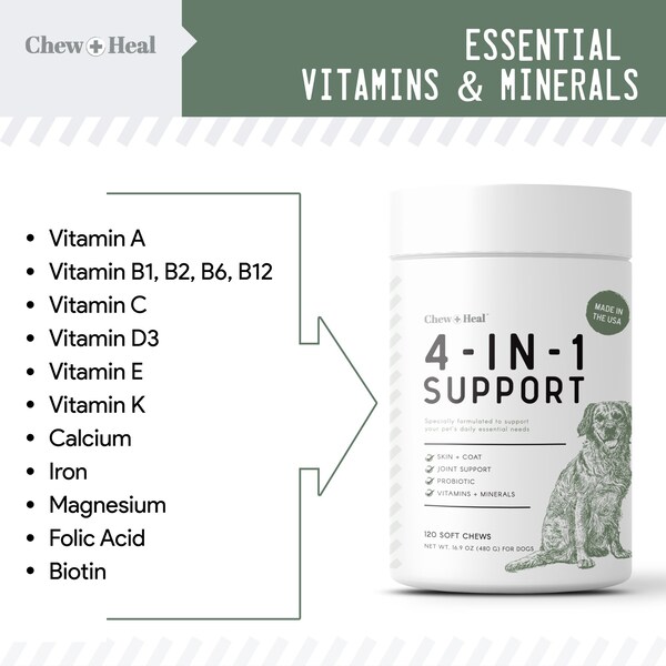 Chew + Heal 4-In-1 Support - 120 Chews - CH-4-IN-1-SUPPORT-120