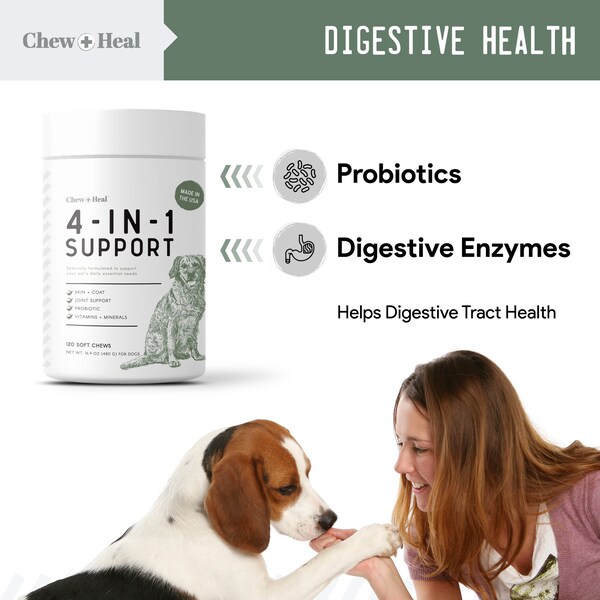 Chew + Heal 4-In-1 Support - 120 Chews - CH-4-IN-1-SUPPORT-120
