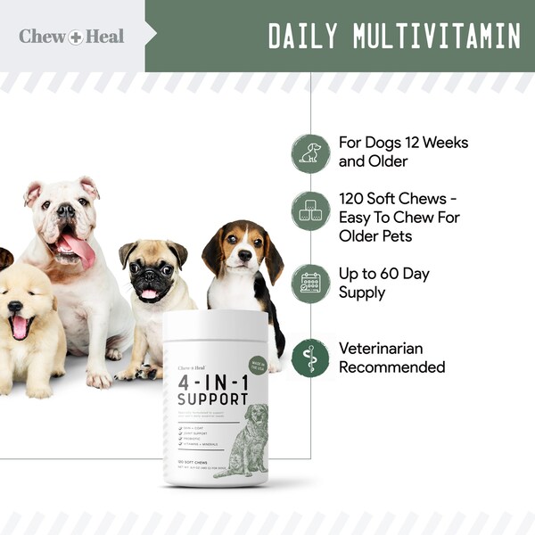 Chew + Heal 4-In-1 Support - 120 Chews - CH-4-IN-1-SUPPORT-120