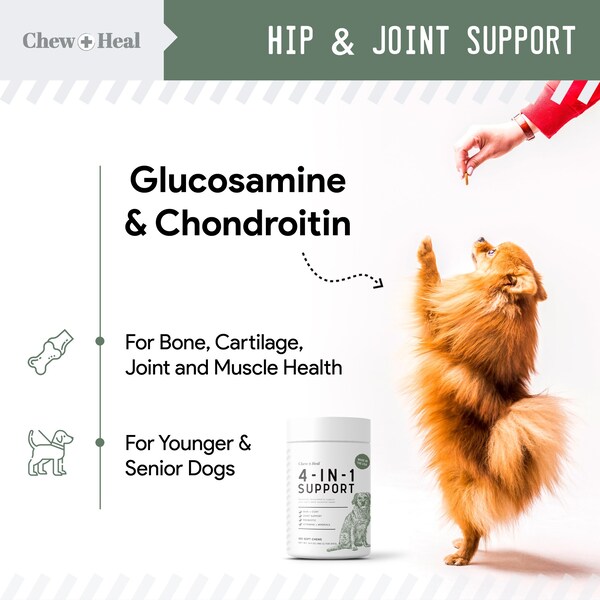 Chew + Heal 4-In-1 Support - 120 Chews - CH-4-IN-1-SUPPORT-120