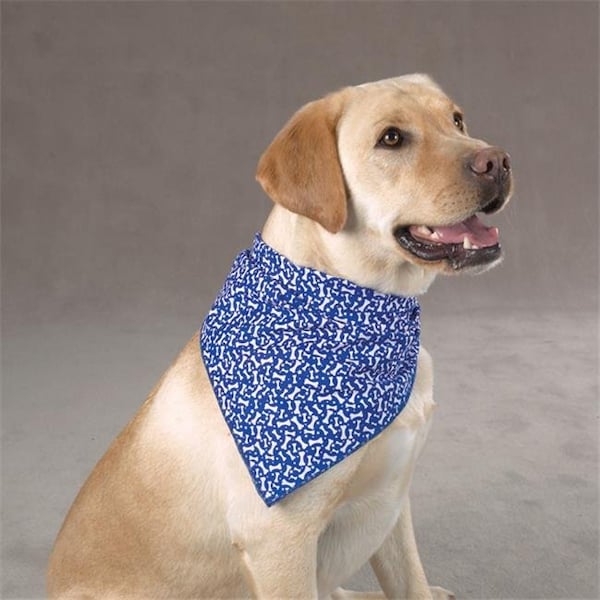 Pet Pals Pet Pals DT8672 83 Aria Blue Ribbon Bone Bandana Red - DT8672 83