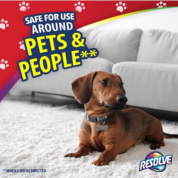 Lysol Resolve Pet Expert Fresh Scent Pet Hair Eliminator 18 oz Foam - 1920099713