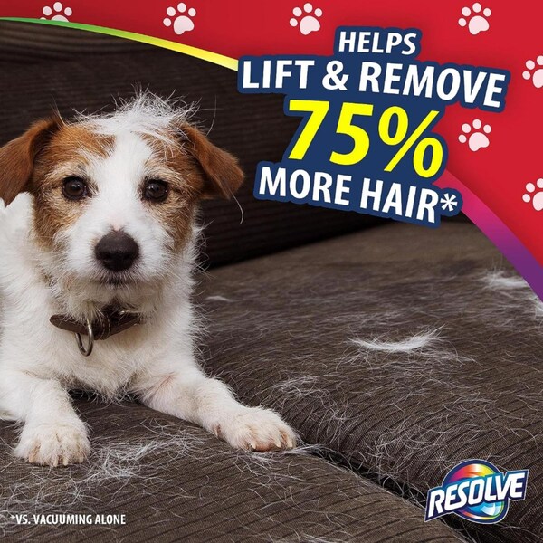 Lysol Resolve Pet Expert Fresh Scent Pet Hair Eliminator 18 oz Foam - 1920099713