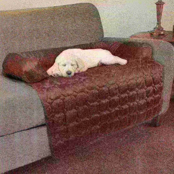 Pet Adobe Furniture Protector Pet Cover for Dogs and Cats with Shredded Memory Foam filled 35" x 35", Brown - 727173BMK