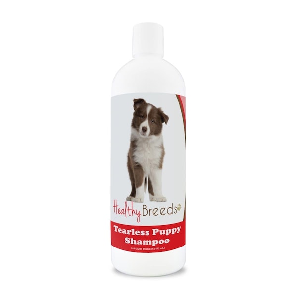 Pamperedpets Border Collie Tearless Puppy Dog Shampoo - PA3487173