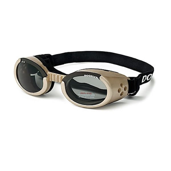 Personagrata XL ILS - Chrome Frame - Smoke Lens - PE60236