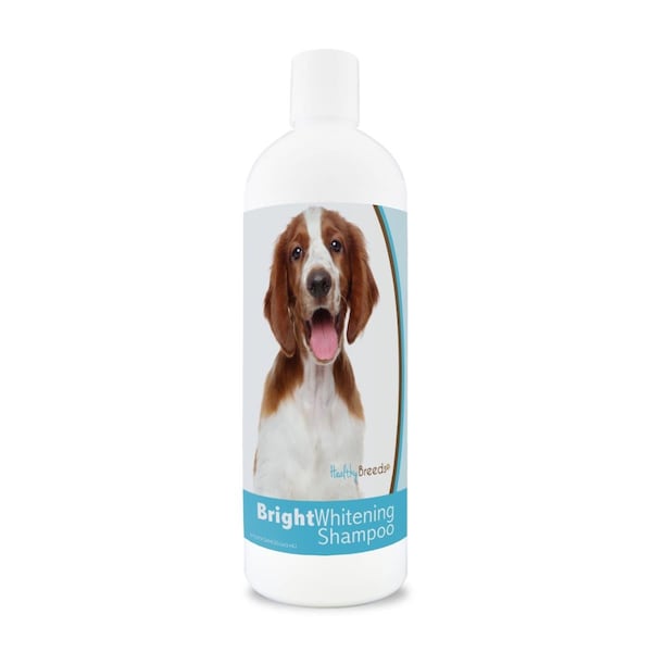 Healthy Breeds 12 oz Welsh Springer Spaniel Bright Whitening Shampoo - 840235177432