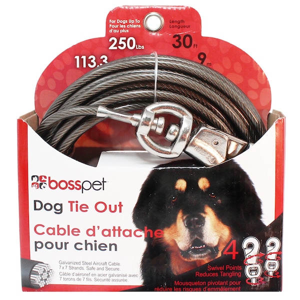 Pdq PDQ Silver Tie-Out Vinyl Coated Cable Dog Tie Out X-Large - Q683000099