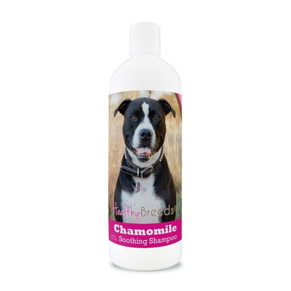 Healthy Breeds 8 oz Pit Bull Chamomile Soothing Dog Shampoo - 192959000511