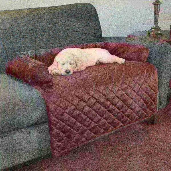 Pet Adobe Pet Adobe Furniture Protector Pet Cover with Bolster - Brown - 35x35 - 772858TAC