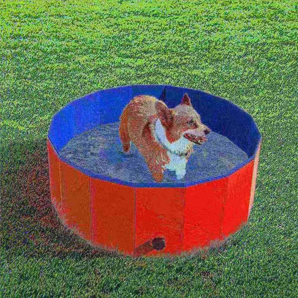 Pet Adobe Pet Pool and Bathing Tub-Foldable with Carrying Bag, Travel Friendly for Dogs, Cats and Pets 30x12 - 750039BJJ