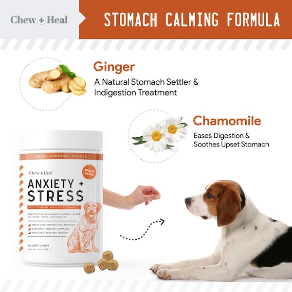 Chew + Heal Anxiety & Stress - 60 Chews - CH-ANXIETY-STRESS-60