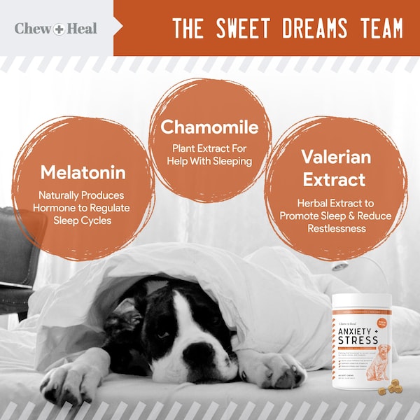 Chew + Heal Anxiety & Stress - 60 Chews - CH-ANXIETY-STRESS-60