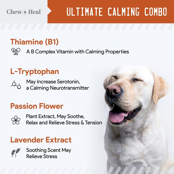 Chew + Heal Anxiety & Stress - 60 Chews - CH-ANXIETY-STRESS-60