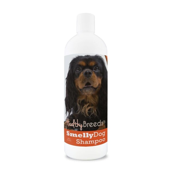 Healthy Breeds 8 oz English Toy Spaniel Smelly Dog Baking Soda Shampoo - 192959001785