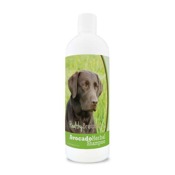 Healthy Breeds Labrador Retriever Avocado Herbal Dog Shampoo - HE126233