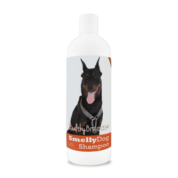 Healthy Breeds 8 oz Beauceron Smelly Dog Baking Soda Shampoo - 192959001181