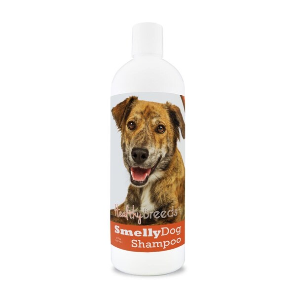 Healthy Breeds 8 oz Plott Smelly Dog Baking Soda Shampoo - 192959001587