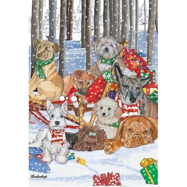 Pipsqueak Productions Pipsqueak Productions C516 Mix Dog  Holiday Boxed Cards - C516