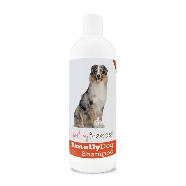Pamperedpets Australian Shepherd Smelly Dog Baking Soda Shampoo - PA3488752
