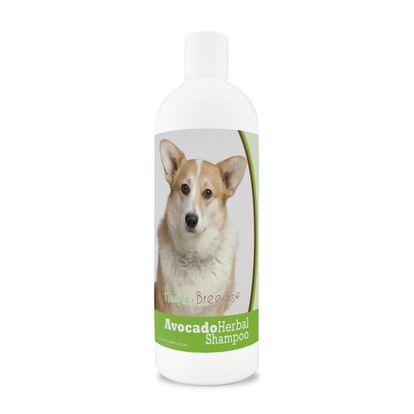 Pamperedpets Cardigan Welsh Corgi Avocado Herbal Dog Shampoo - PA3487541
