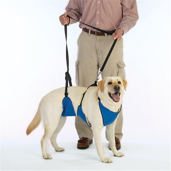 Pet Pals ZW477 14 19 Guardian Gear Lift & Lead 4-In-1 Sm Blue - ZW7755 14 19