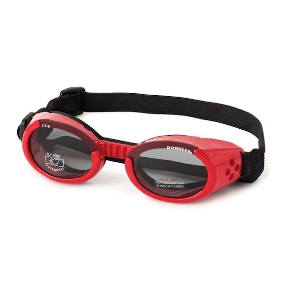 Personagrata Large ILS - Shiny Red Frame - Smoke Lens - PE60231