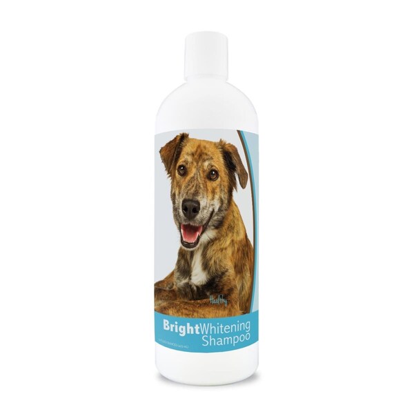 Healthy Breeds 12 oz Plott Bright Whitening Shampoo - 840235180272