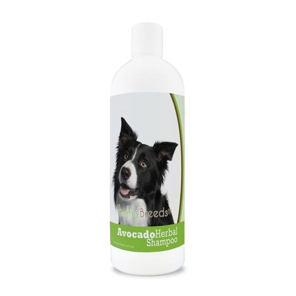 Healthy Breeds Healthy Breeds 840235156901 Border Collie Avocado Herbal Dog Shampoo - 840235156901