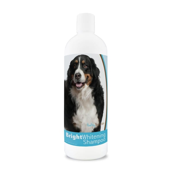 Healthy Breeds 12 oz Bernese Mountain Dog Bright Whitening Shampoo - 840235169666
