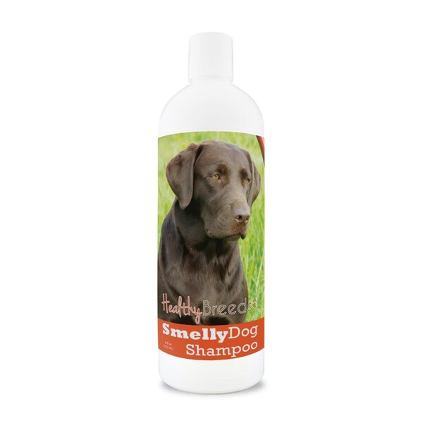 Pamperedpets Labrador Retriever Smelly Dog Baking Soda Shampoo - PA3488756