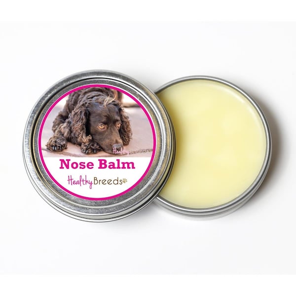 Healthy Breeds 2 oz American Water Spaniel Dog Nose Balm - 840235191193