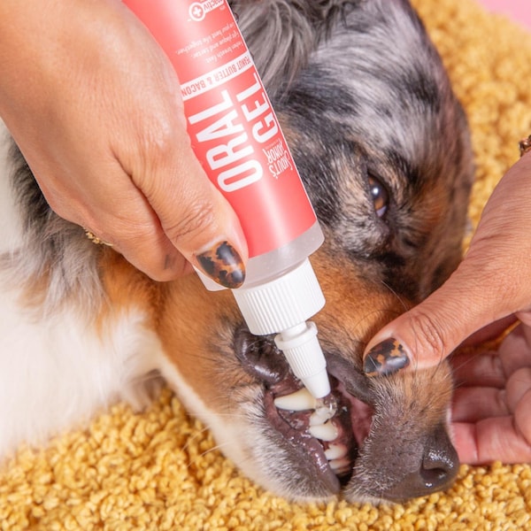 Skouts Honor Dog Dental Clean Gel 4 oz - SH23OGPB4