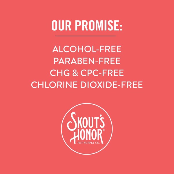 Skouts Honor Dog Dental Clean Gel 4 oz - SH23OGPB4