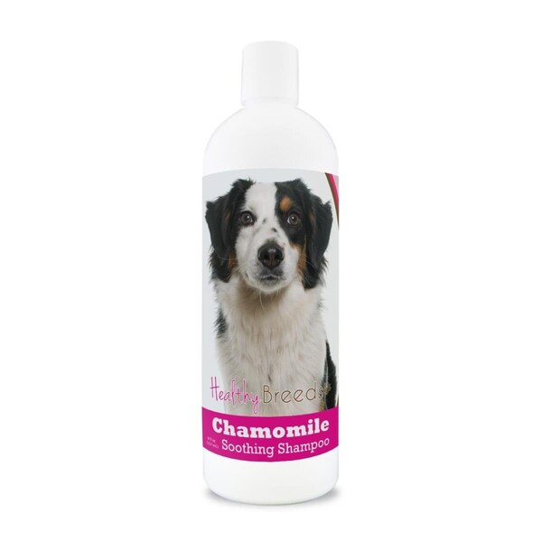 Healthy Breeds 8 oz Miniature American Shepherd Chamomile Soothing Dog Shampoo - 192959000689
