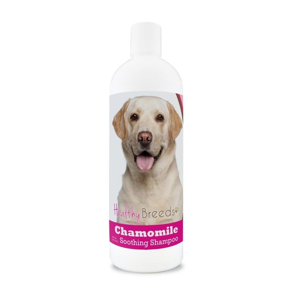 Healthy Breeds 8 oz Labrador Retriever Chamomile Soothing Dog Shampoo - 840235161851