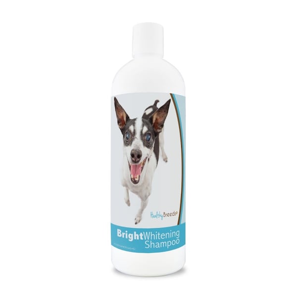 Healthy Breeds 12 oz Rat Terrier Bright Whitening Shampoo - 840235181033