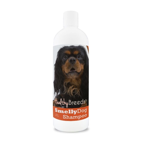 Pamperedpets 8 oz English Toy Spaniel Smelly Dog Baking Soda Shampoo - PA3489867