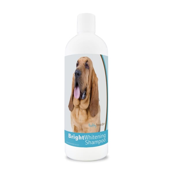 Healthy Breeds 12 oz Bloodhound Bright Whitening Shampoo - 840235182733