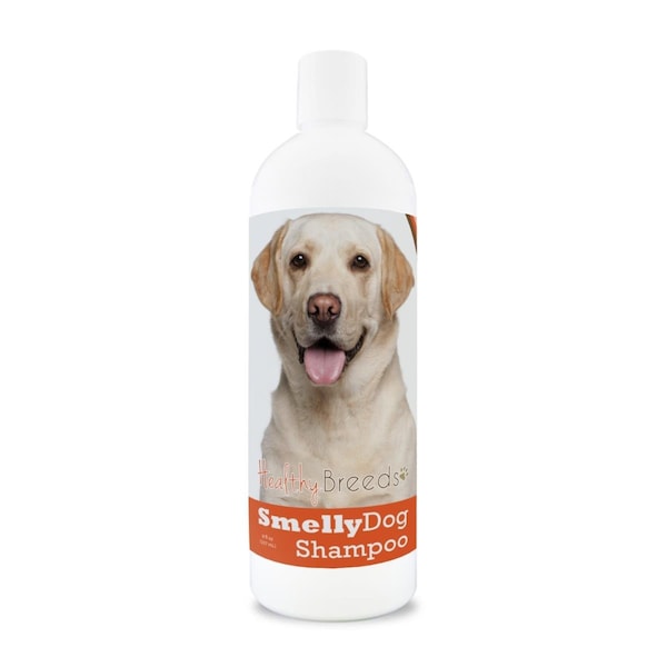 Healthy Breeds 8 oz Labrador Retriever Smelly Dog Baking Soda Shampoo - 840235160823